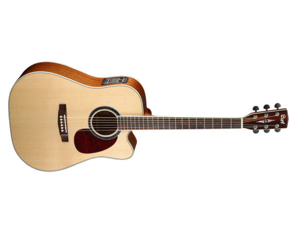 cort mr730fx frontale