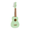 Fender-Venice trequarti