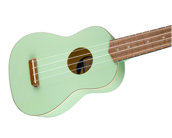 Fender-Venice body