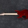 Ibanez S521BBS Post