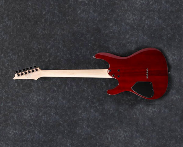 Ibanez S521BBS Post