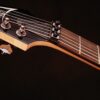 Ibanez S521BBS Paletta