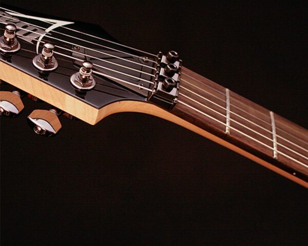 Ibanez S521BBS Paletta