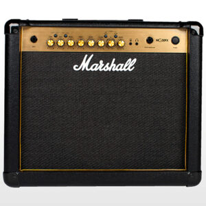 Marshall MG30X Gold Frontale