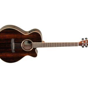 Tanglewood-Discovery DBT SFCE AEB Frontale