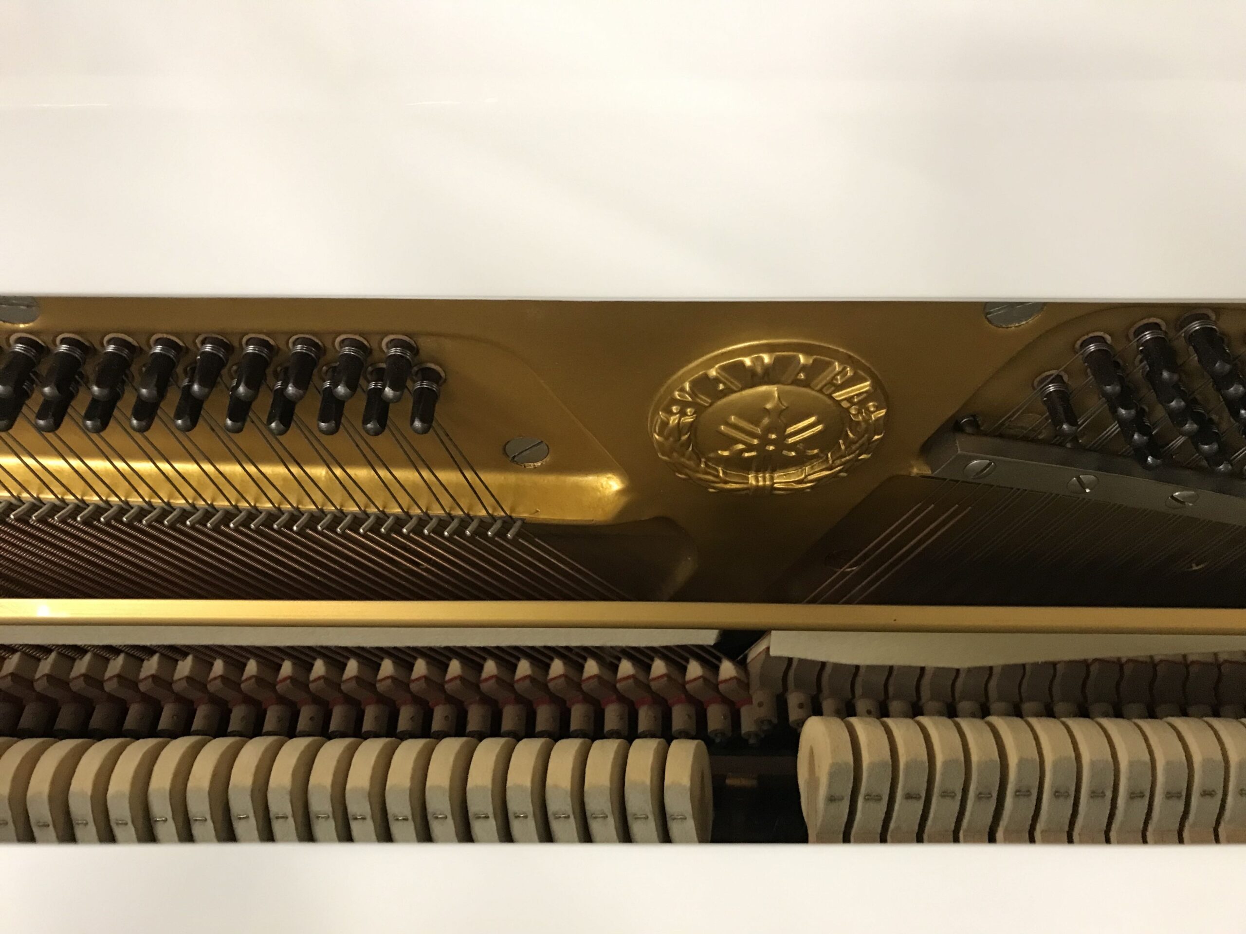 yamaha u1f bianco logo