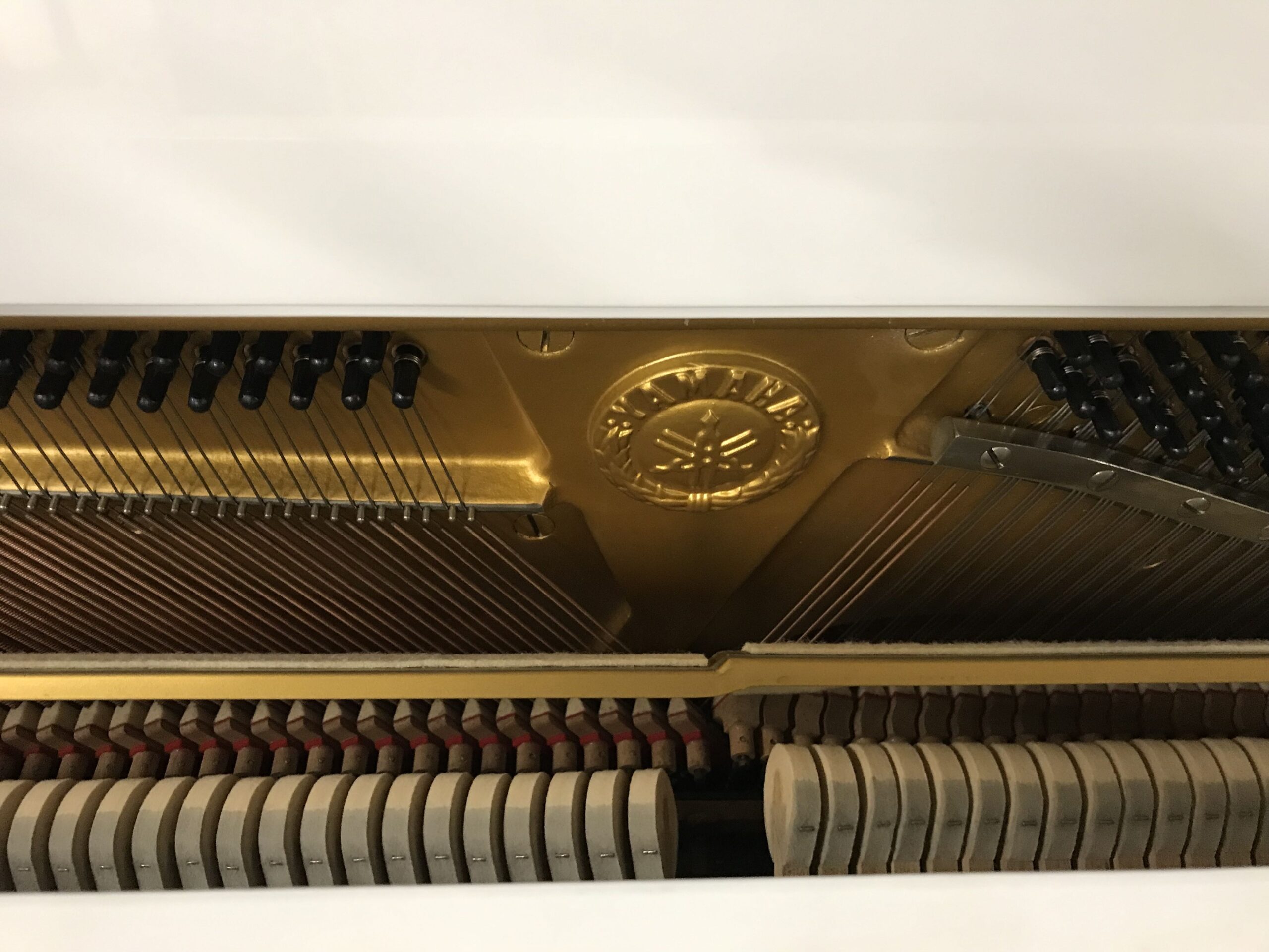 yamaha u1h bianco logo